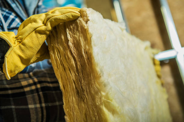 Best Commercial Insulation in Fairfield, TX
